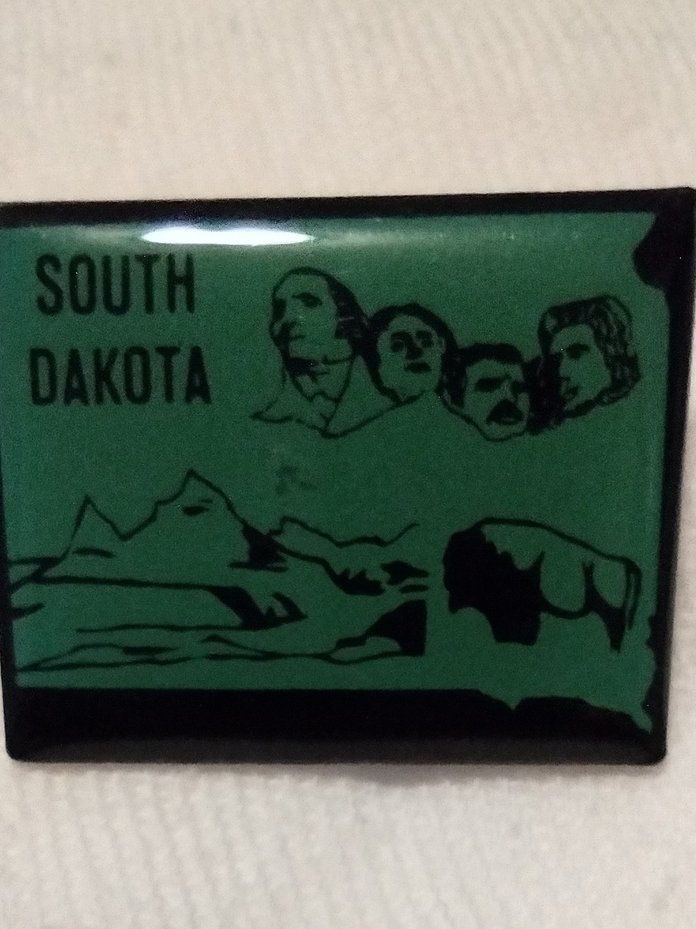 Vintage South Dakota Souvenir Pin - Green and Black